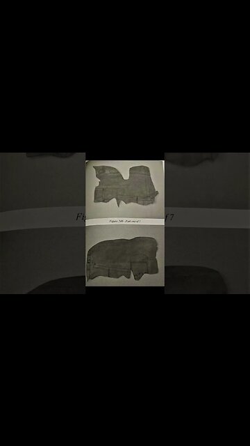 The Curse of Oak Island: Maps at Zena's House #Shorts