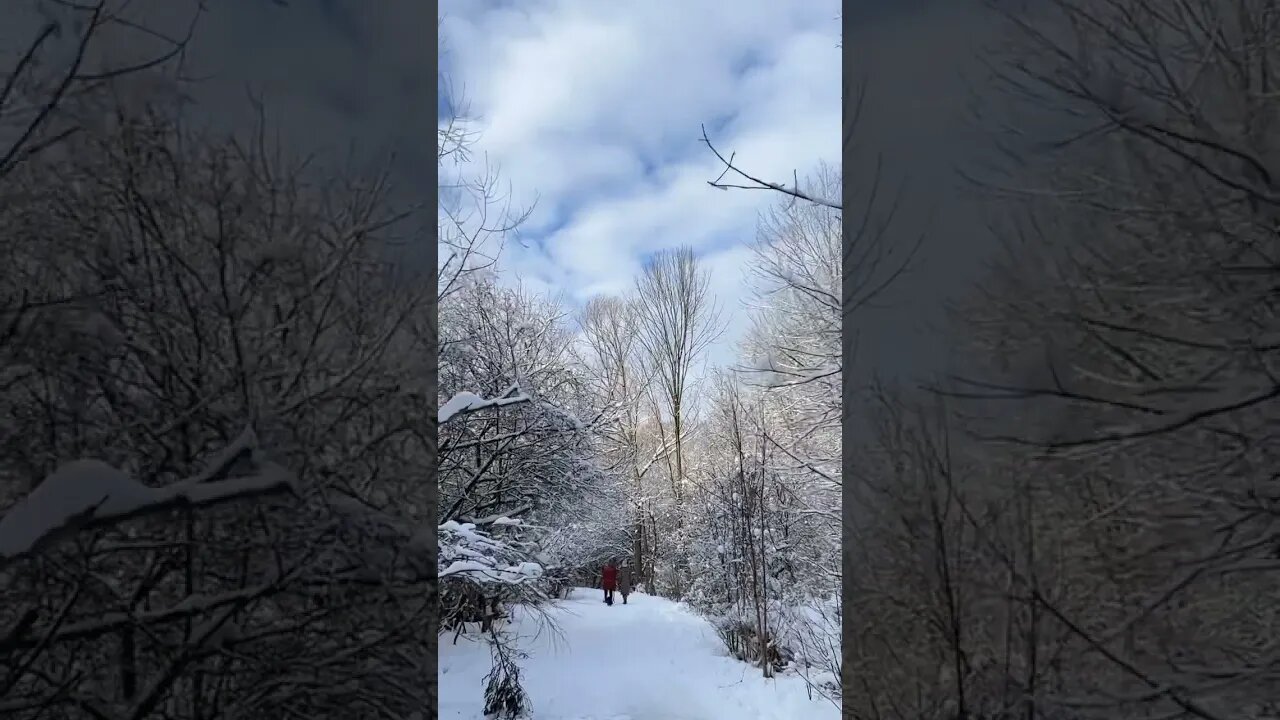 Walk with me👋 #dayhike #subscribe #4000watchtime
