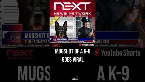 Mugshot of a K-9 Goes Viral #shorts