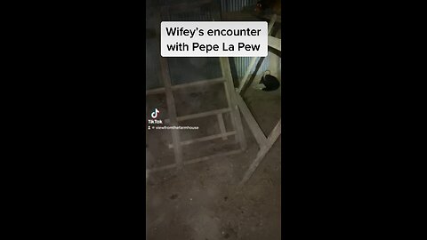 Pepe La Pew