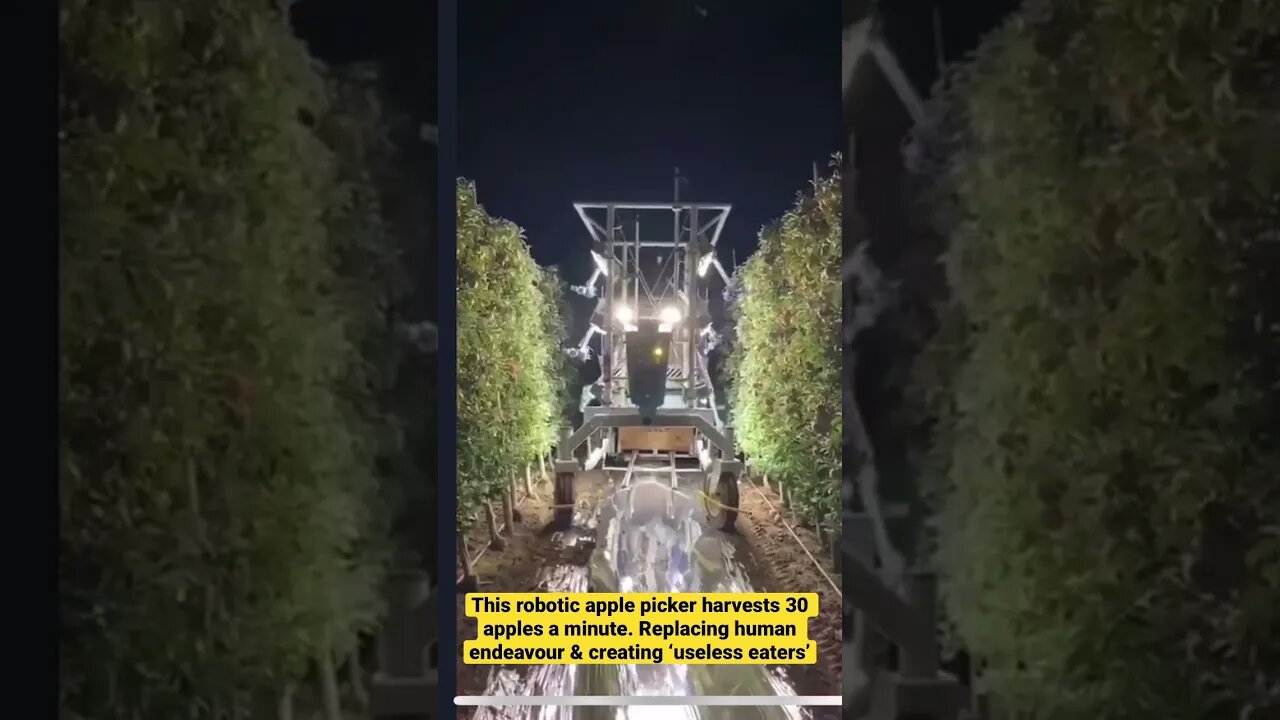 The new apple picker