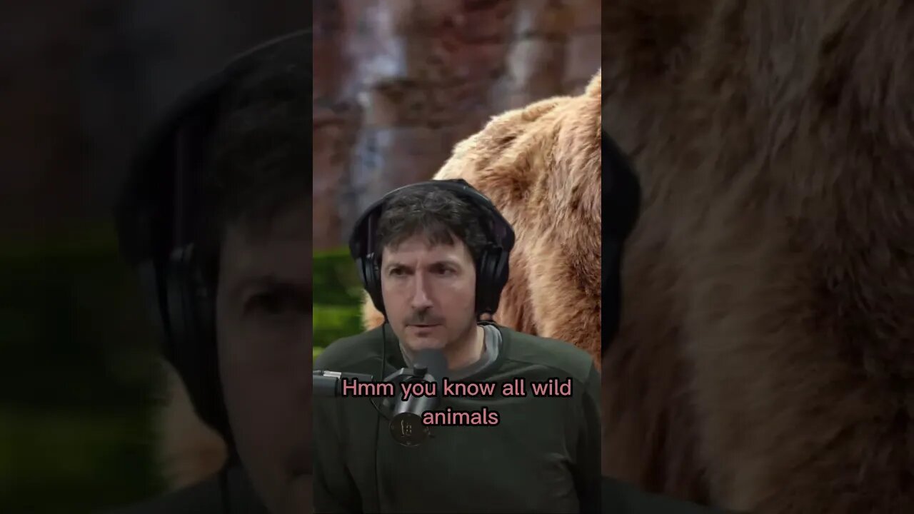 Wolves usually wants nothing to do with people - Glenn Villeneuve & Joe Rogan