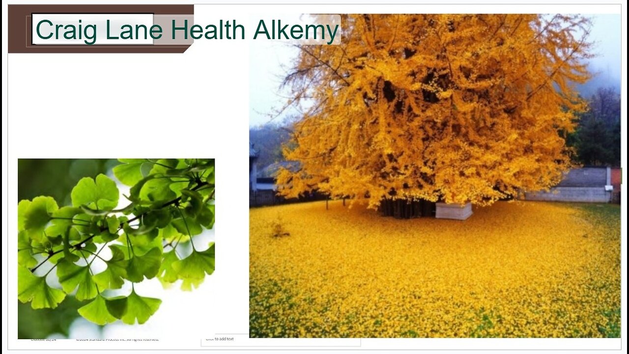 Health Improvisation Theater! The Sponge of Nature and Autumn Leaves Falling!