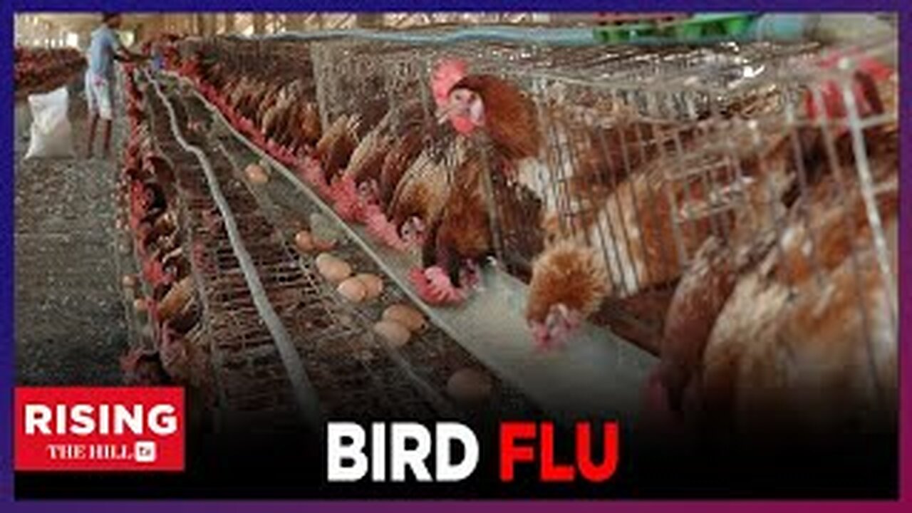 Third BIRD Flu Case in HUMAN Found. ShouldWe be WORRIED?!?