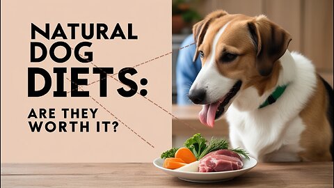 The Evolution of Natural Dog Diets Benefits and Precautions.