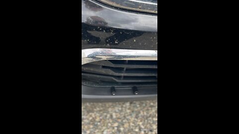 Deer Alert - new gadget