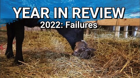 Taking A Look Back | 2022 Year In Review: Failures