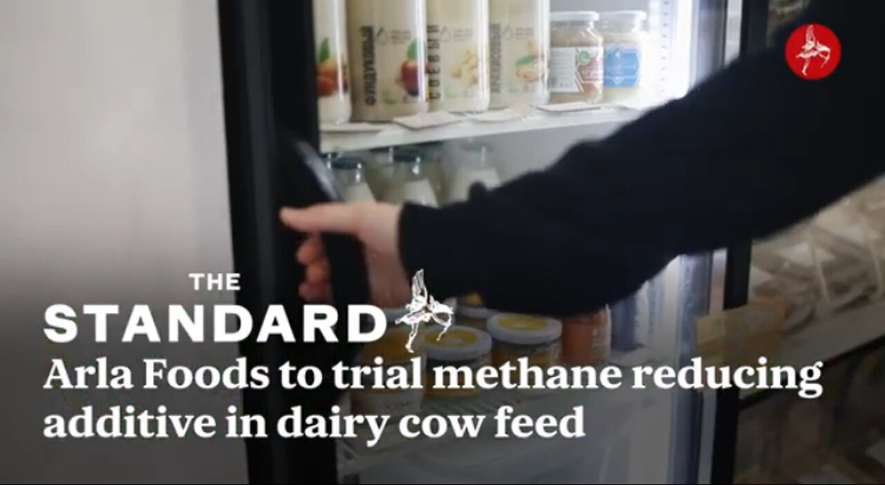 Arla Foods Bovaer animal feed trial