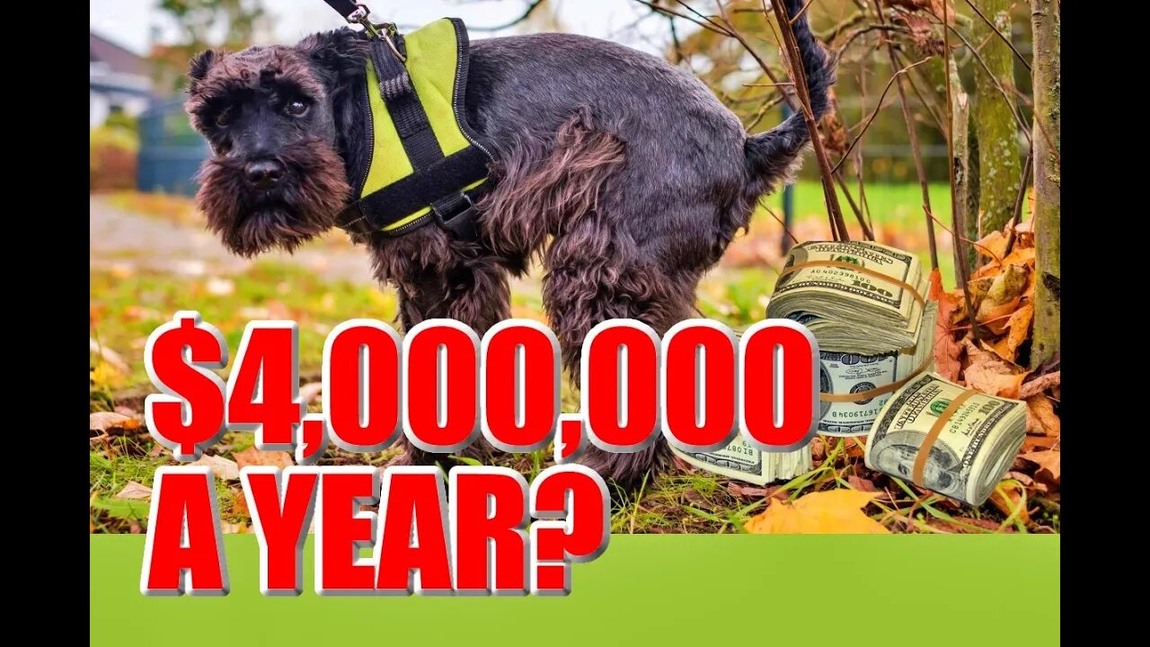 4 Million a Year Picking up Dog POOP? Small Business Ideas