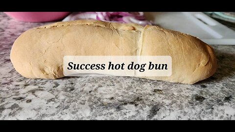 Success hot dog bun #hotdogbun