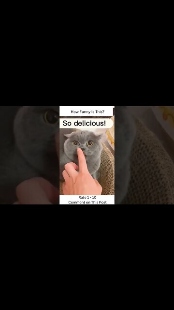 How Funny Is This #shorts #viral #trending