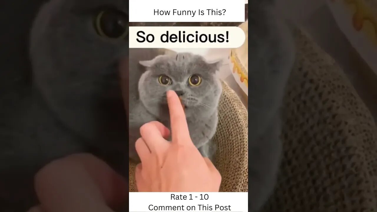 How Funny Is This #shorts #viral #trending