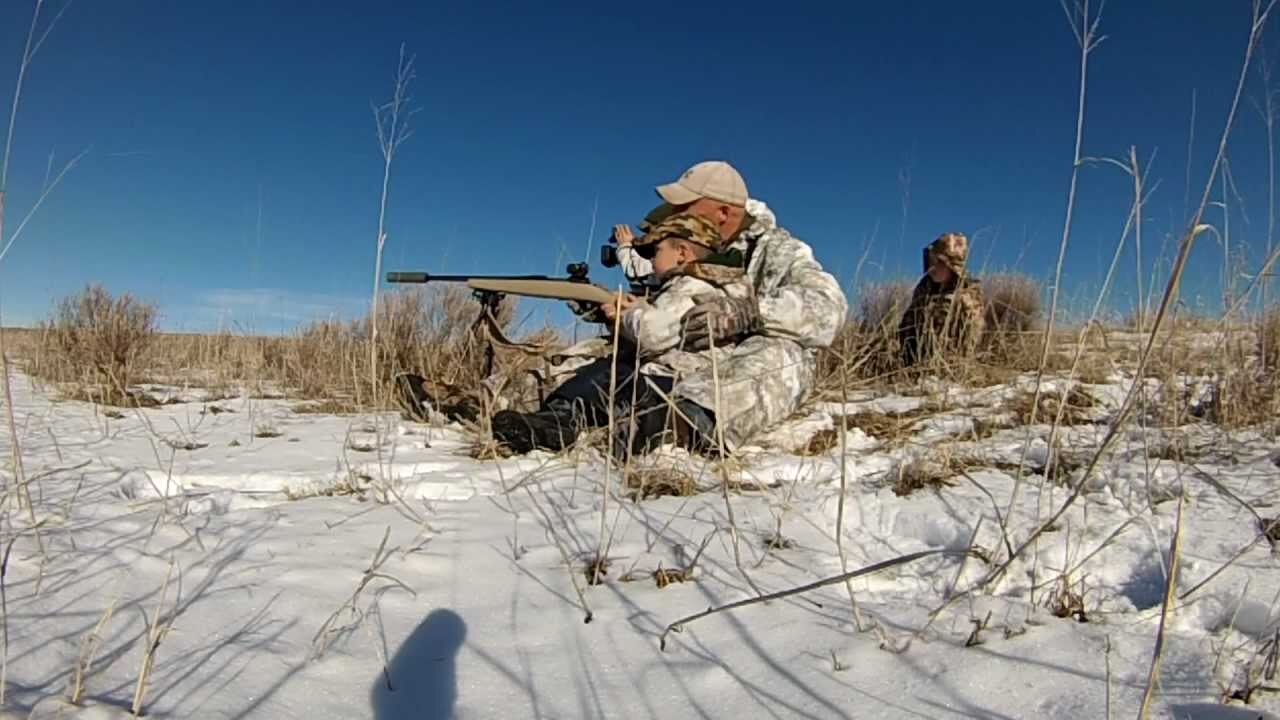 5-year-old Creighton gets his first shots at coyotes!!!