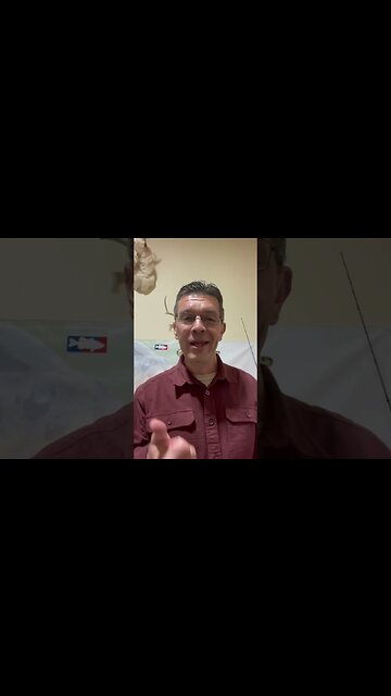 Free Online Bass Tournament #fishing #shorts #shortvideo #bass #fishingtournament