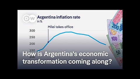 Did Milei follow through on his radical economic plans? | DW News