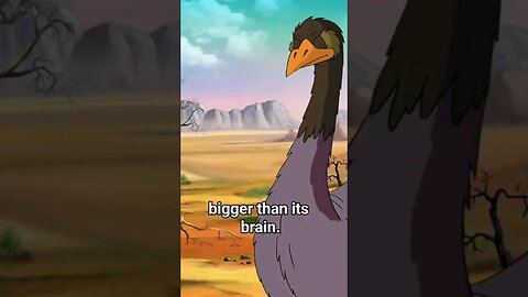 An ostrich eye bigger than it's brain #shorts #youtubeshorts #shortsfeed #viral #didyouknow #short