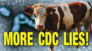 CDC Warns of Impending Bird Flu Outbreak