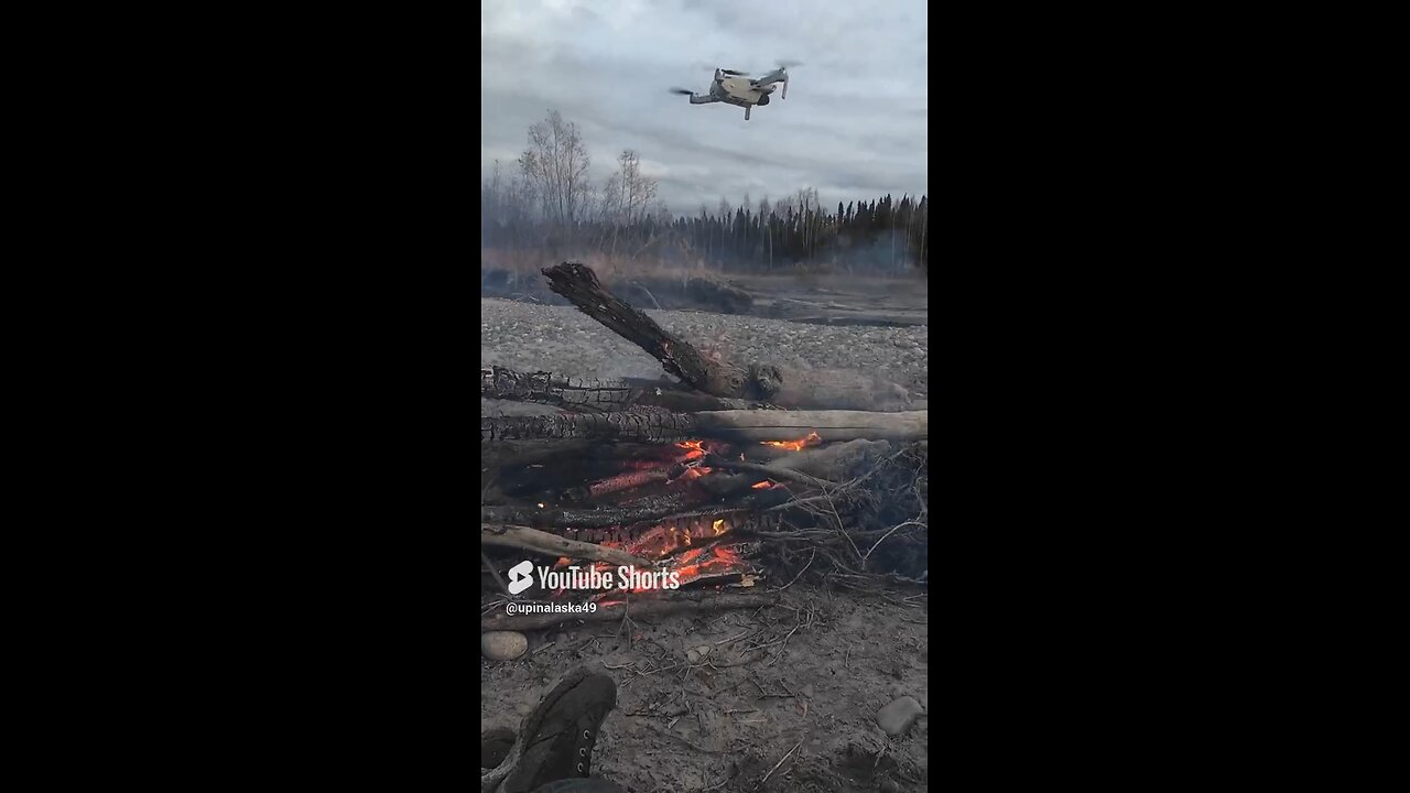 Life’s good #Subscribe #Alaska #Bushcraft #Camping #Hiking #Fishing #DJI #Shorts #Nature #Outdoors