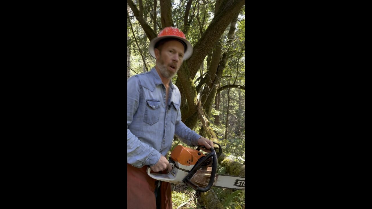 Video Creators Doing Dangerous Things With Chainsaws