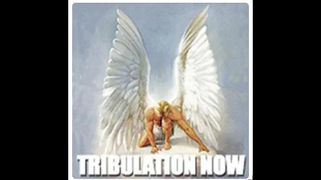 TRIBULATION NOW -Other Worldly Beings, Nanotech & Spiritual Enemies w SRA Survivor Eleyna