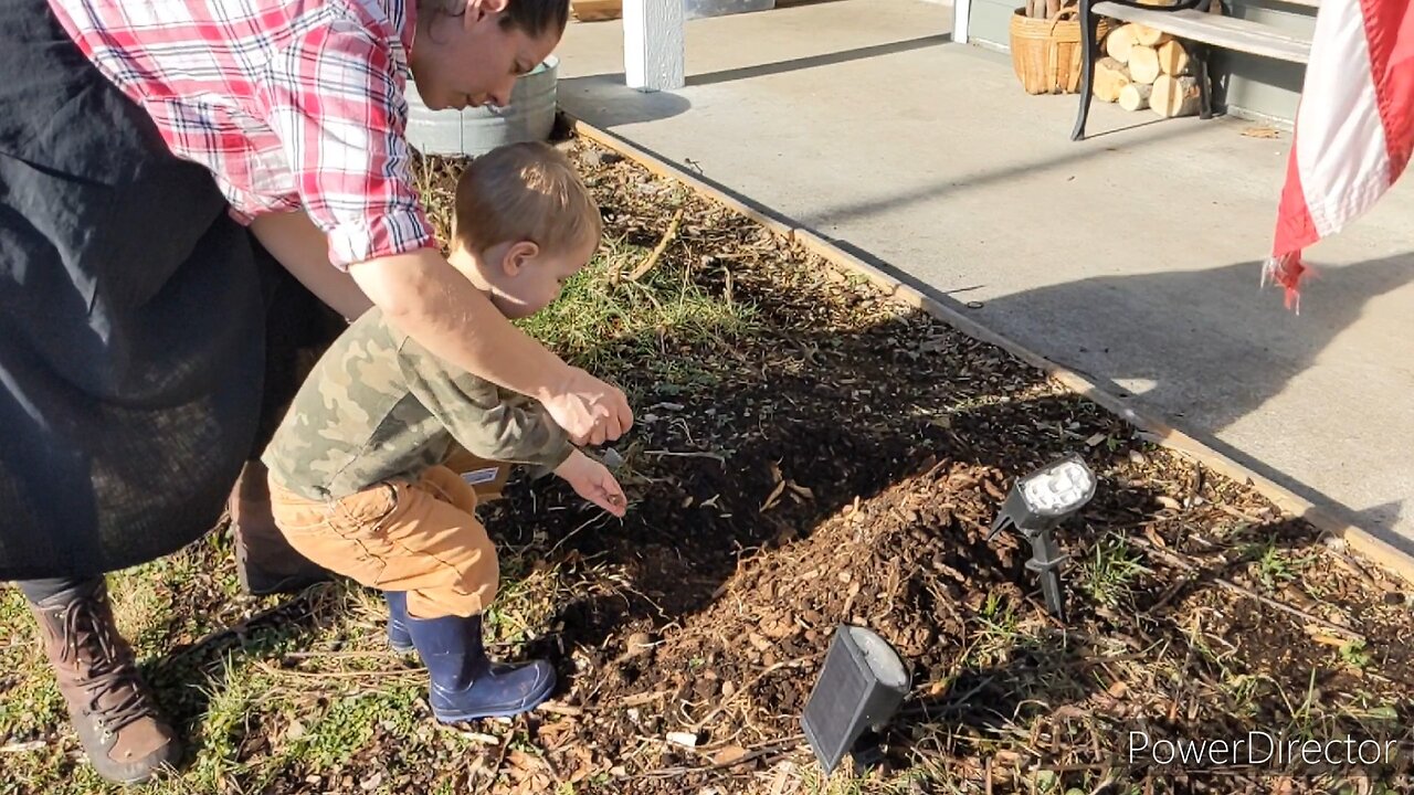 Planting Winter Bulbs For Spring Flowers