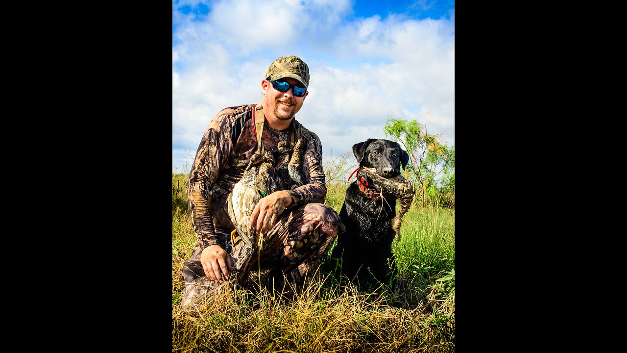 Ducks & Geese Falling From Sky/Dog Retrieves (Pt 5) First Time Dog Handler Hunting