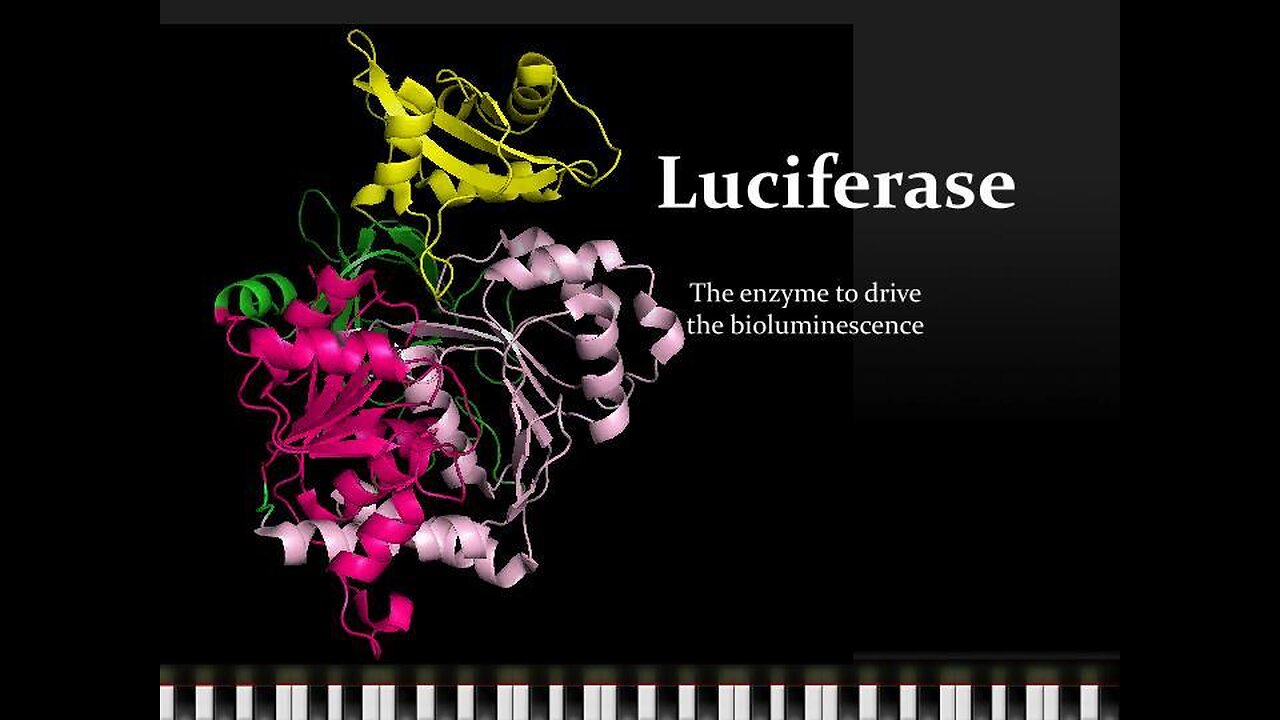 LUCIFERASE 666