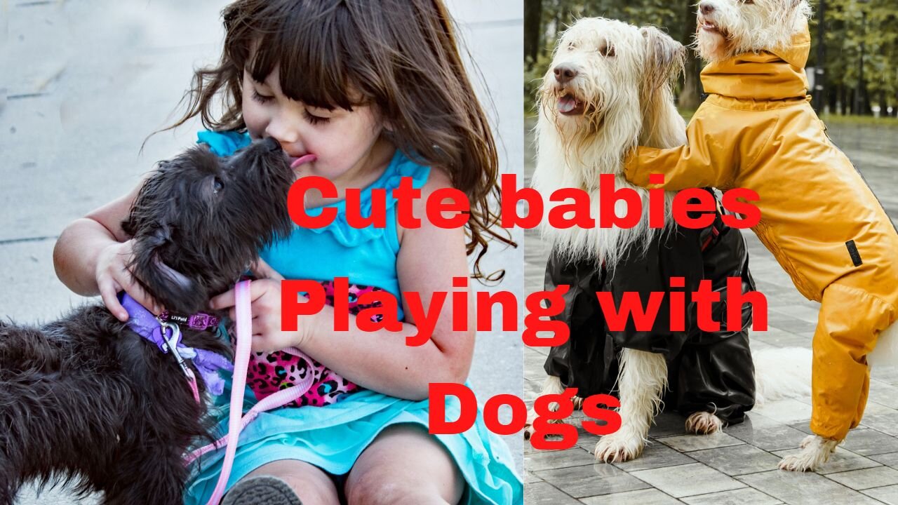 Cute Babies Playing With Dogs Compilation | Funny Baby And Pets
