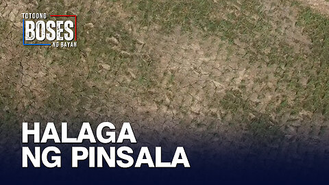 Produksyon ng palay sa unang bahagi ng 2024, bumaba —PSA