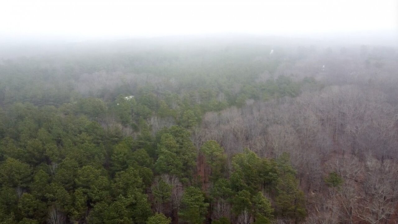 Nonprofit works to protect Black and Native American burial sites