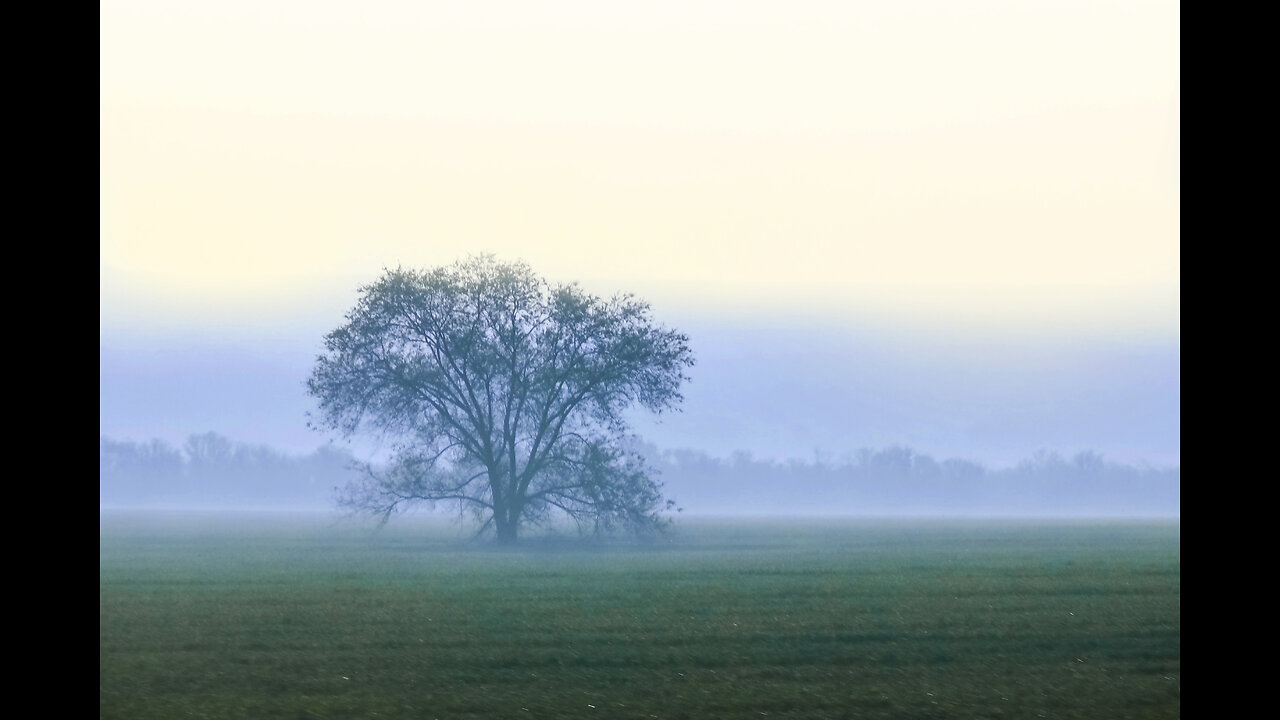 waiting for your Mr. Darcy... | moody classical music playlist