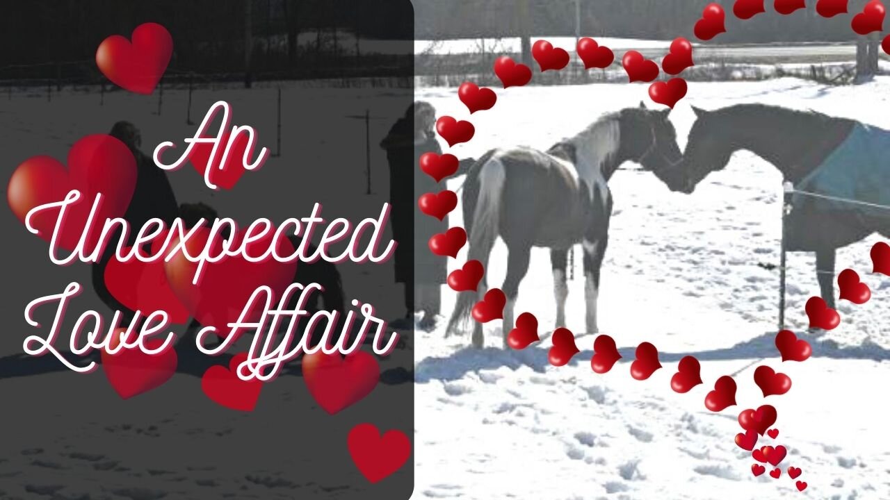 An Unexpected Love Affair On The Daybyday Farm!