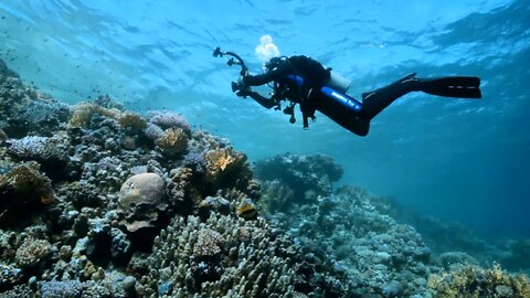 Scuba diving around a shipwreck