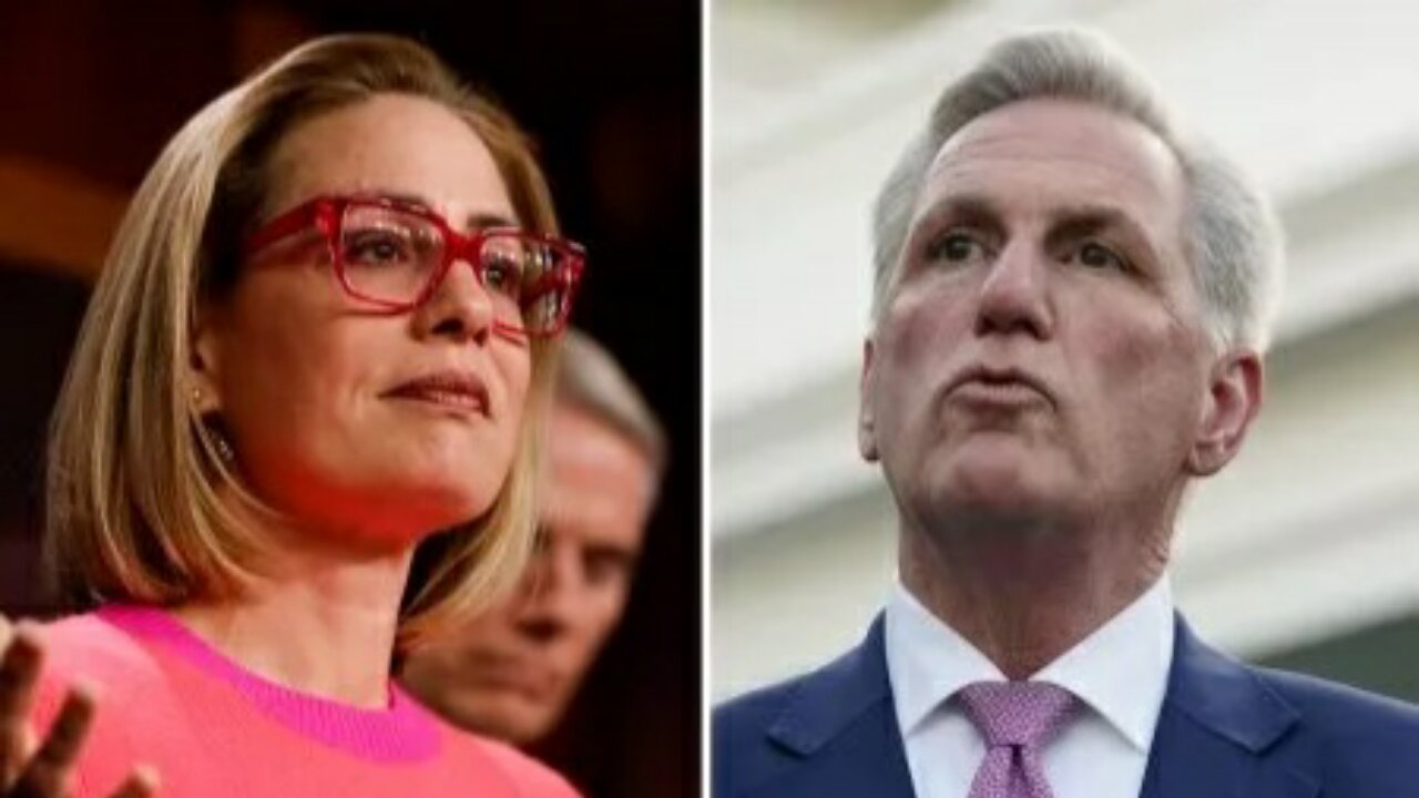 Senator Kyrsten Sinema dining with House Speaker Kevin McCarthy