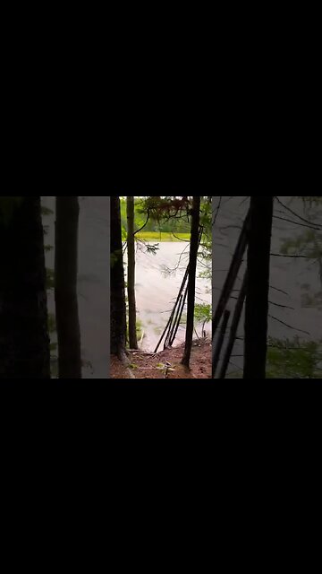 Beautiful Canadian Walking Trails by the Water 🇨🇦 #trails