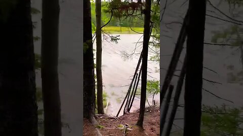 Beautiful Canadian Walking Trails by the Water 🇨🇦 #trails