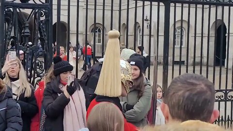Every one films the guard #horseguardsparade