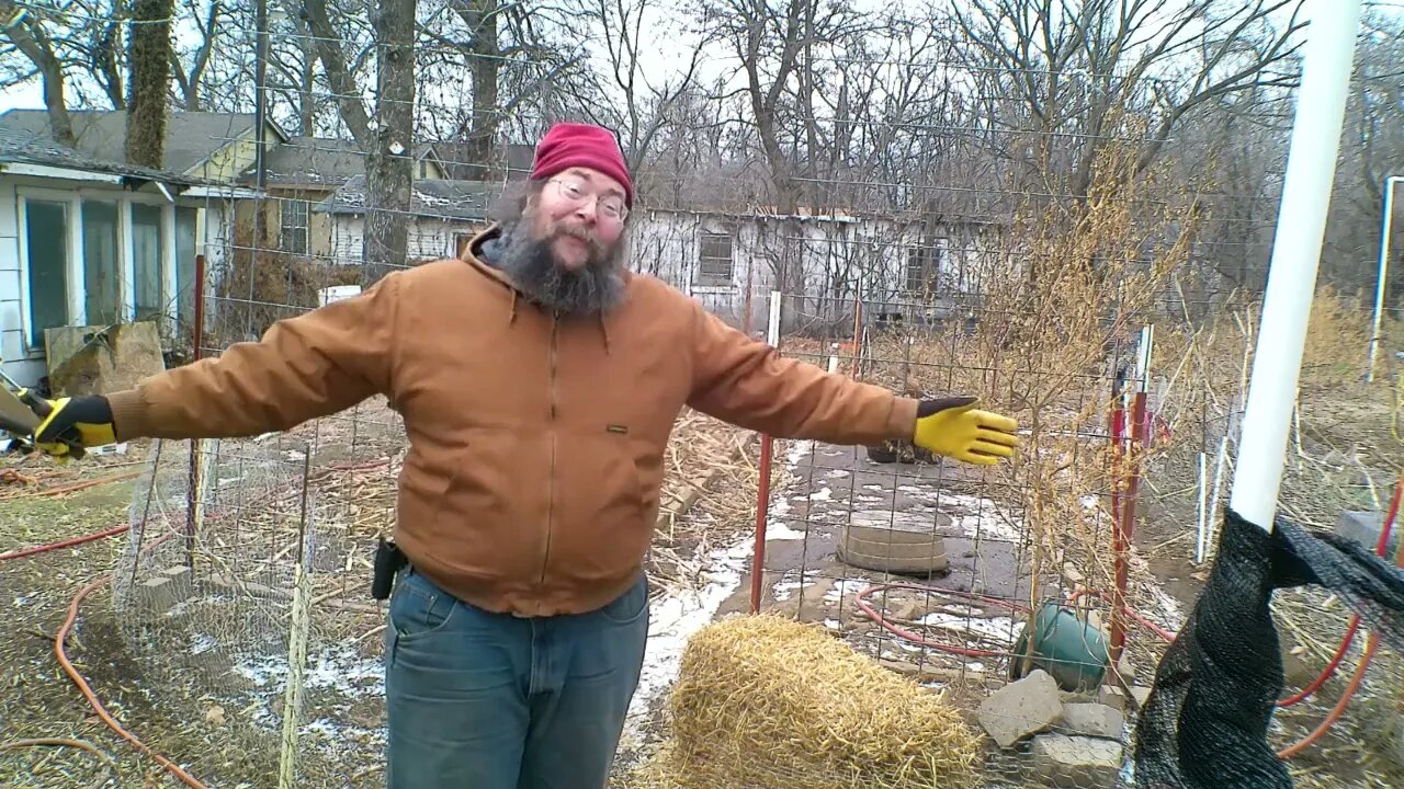 Chiseling Duck Poo?? and a Door Repair, Too!