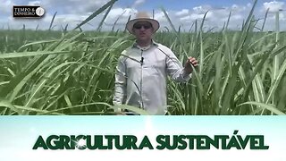 Agricultura Sustentável: Com Frederico Olivi