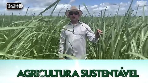 Agricultura Sustentável: Com Frederico Olivi