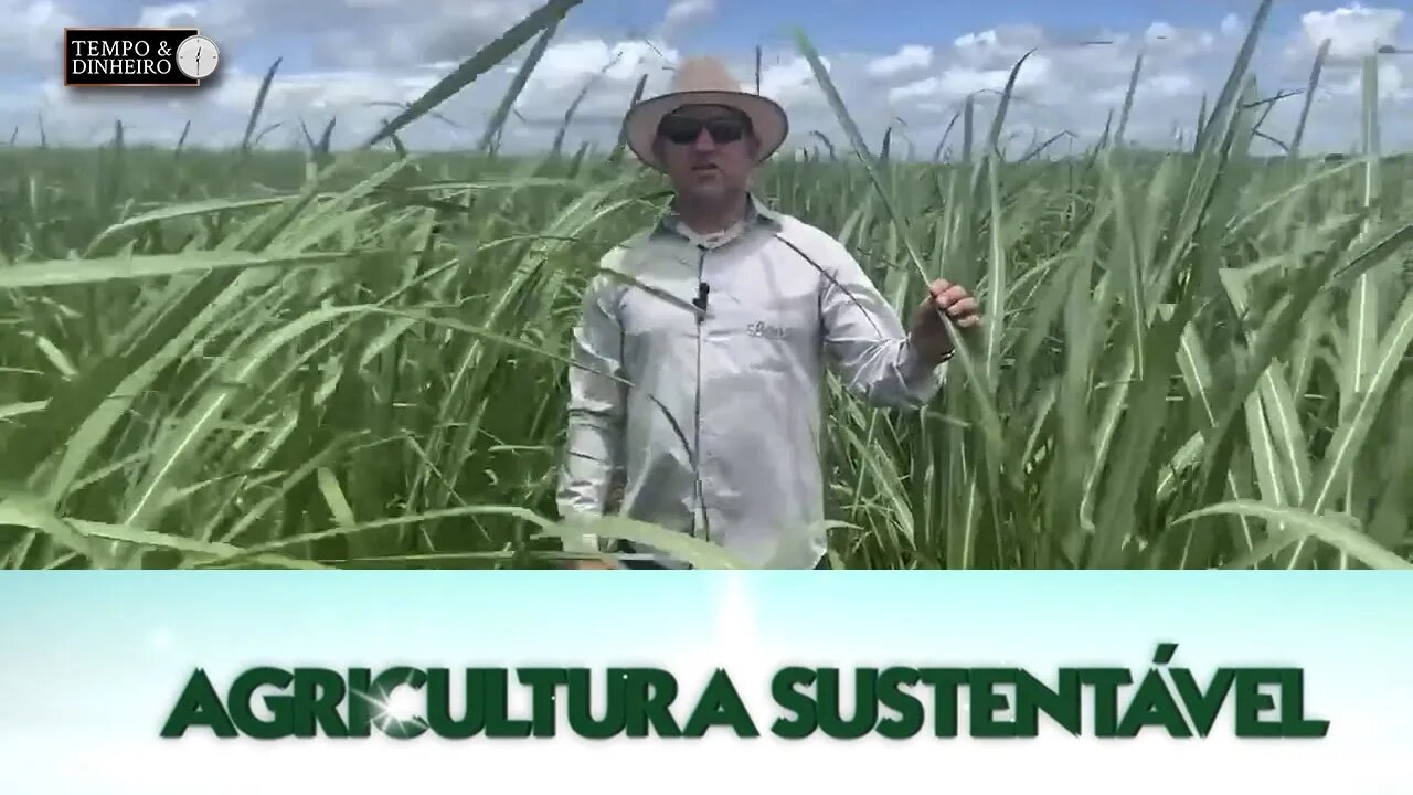 Agricultura Sustentável: Com Frederico Olivi