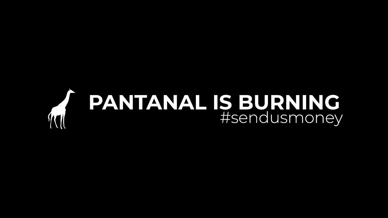 Pantanal is burning, send us money | Senso Incomum