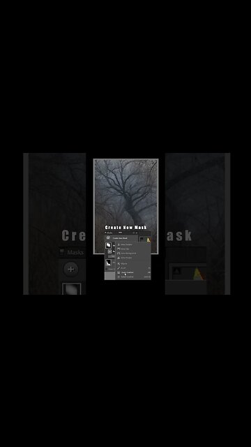 Woodland Photography Tutorial in Lightroom