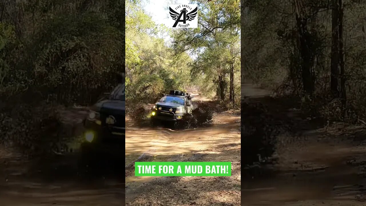 Taking a Mud Bath in the Woods #shorts #offroad