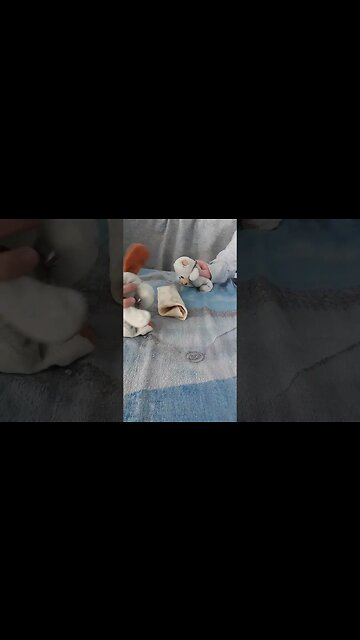 The worst cooking show ever (by the Lil sneakers) #funny