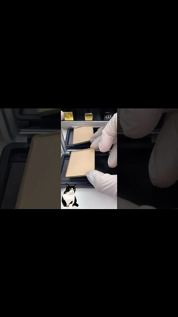 ASMR repair Makeup Part 6 #shorts #catcute #asmr