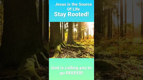#jesussaves #salvation #endtimes #lastdays #godforgives #repent #godislove #god #mercy #love #jesus