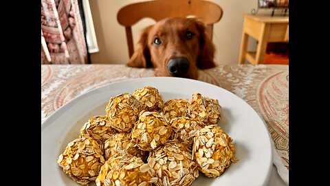 No Bake Pumpkin Dog Treats Your Pup Will Drool Over! #Easy #Healthy