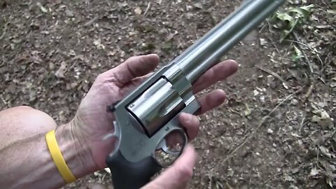 500 S&W Magnum (Close-Up )