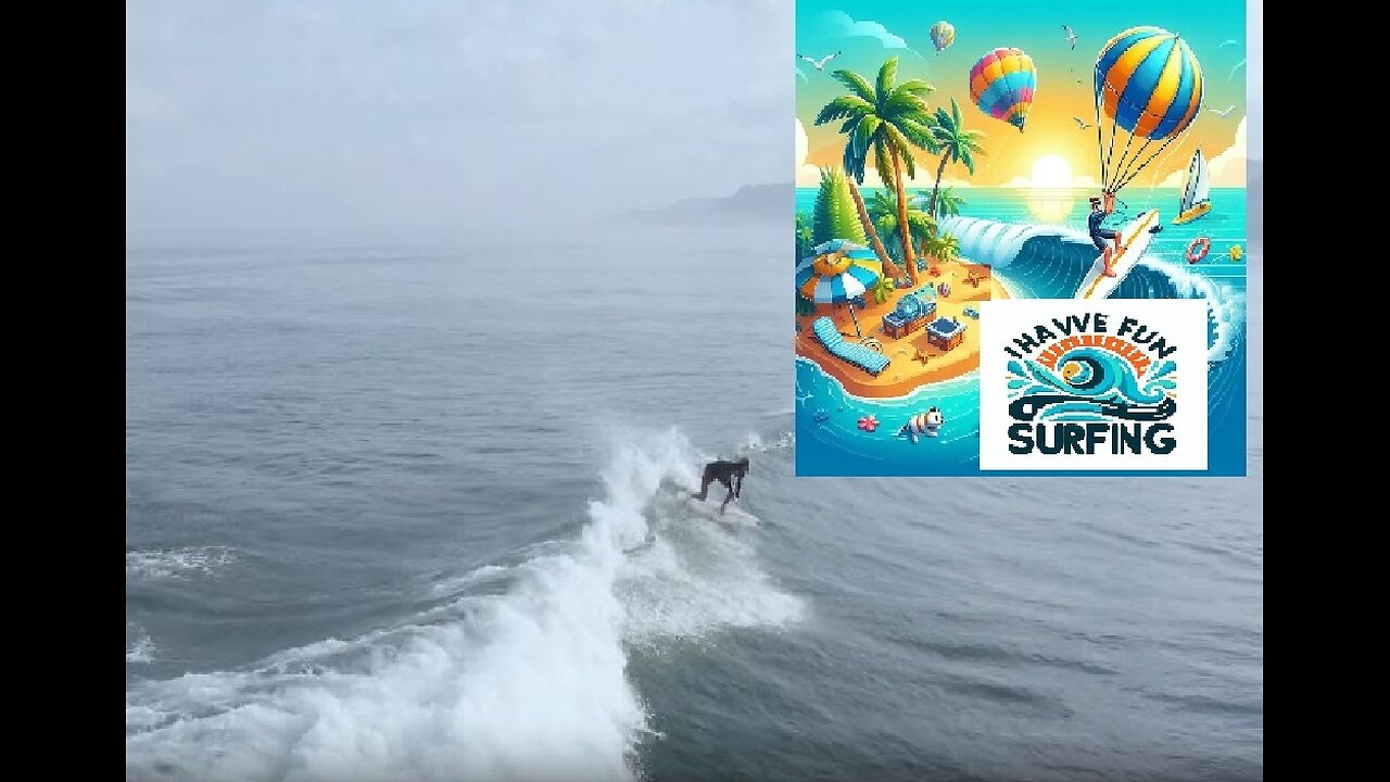 have fun surfing